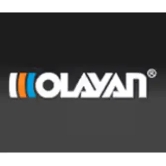 The Olayan Group