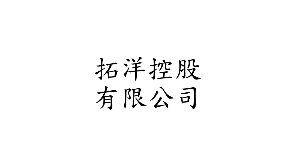 拓洋控股有限公司