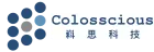 嵙思科技股份有限公司