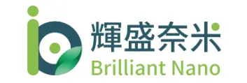 輝盛奈米生技股份有限公司