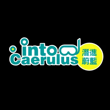 Caerulus Vision Co., Ltd.