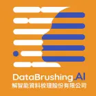 解智能資料梳理股份有限公司